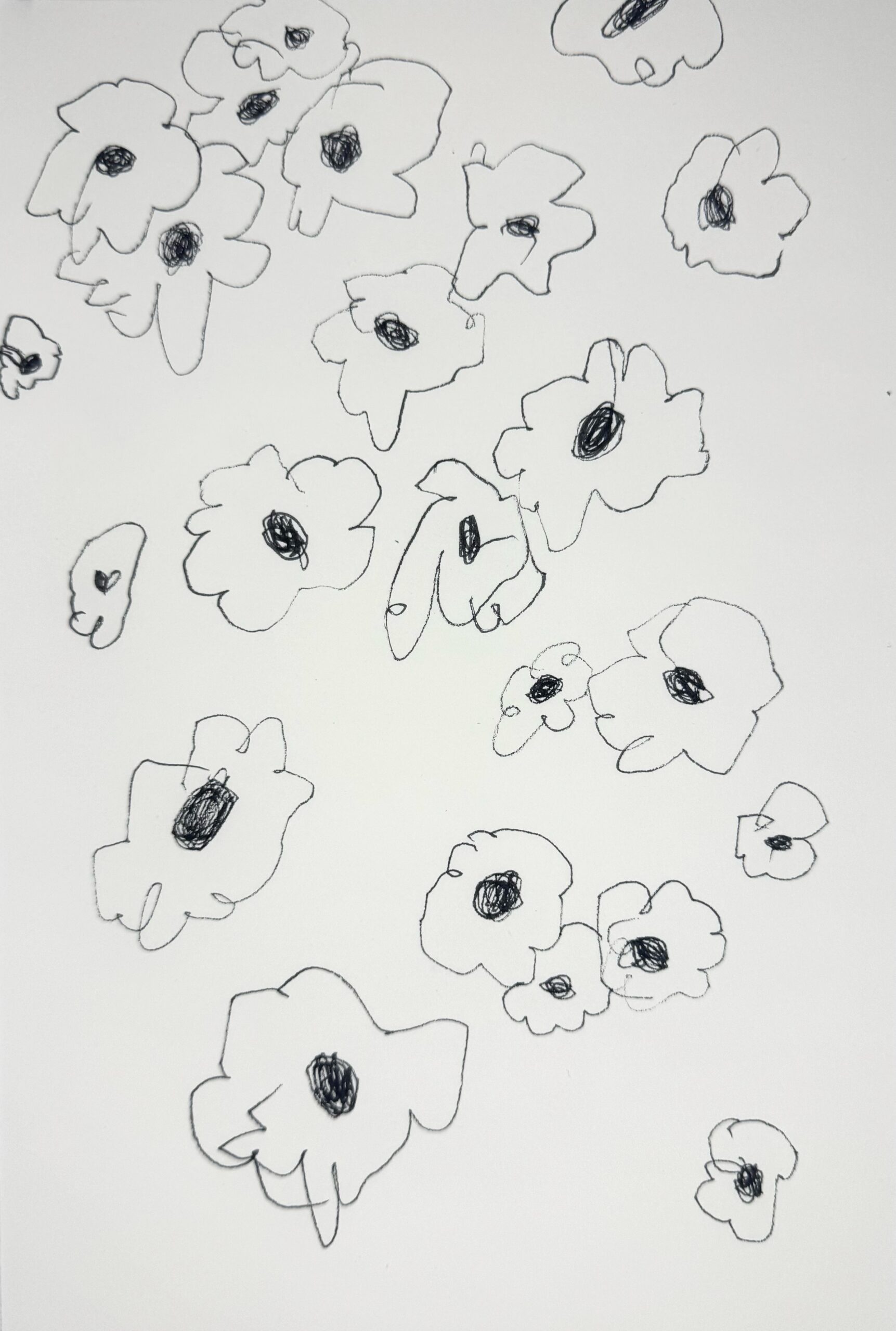 FullSizeRender_VSCO 18.Estudio de margaritas